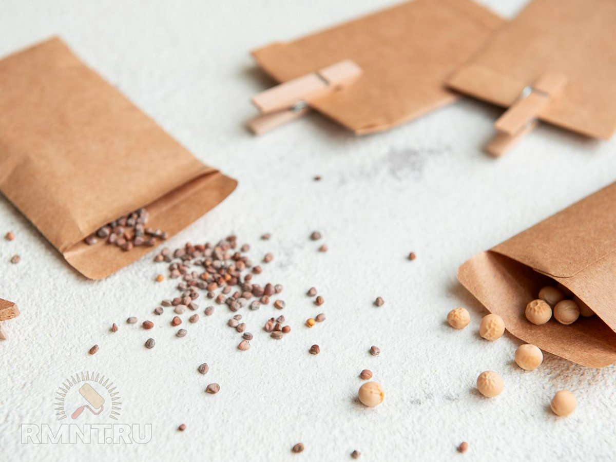 Фото: thespruce.com