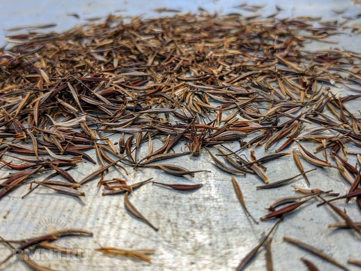 Фото: themarthablog.com