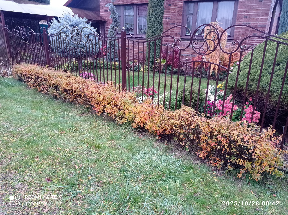 перед входом