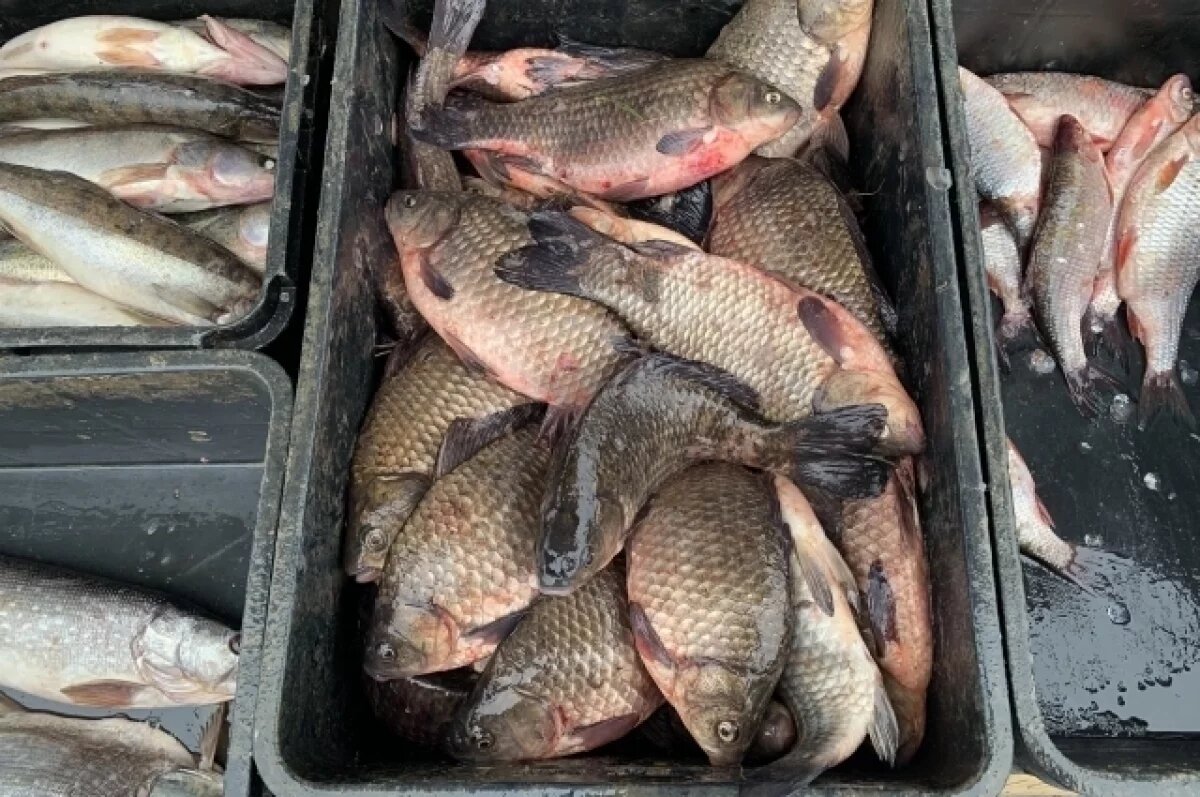    Рязанская область заняла 3 место в рейтинге регионов России для рыбалки