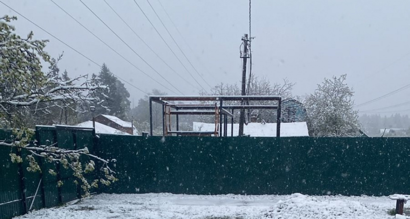    «Декабрь и январь будут абсолютно аномальными». Синоптики сообщили, что будет с погодой