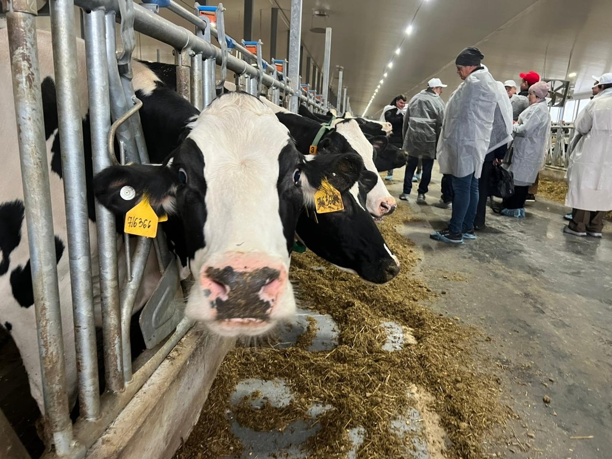 Фото: tomsk.gov.ru