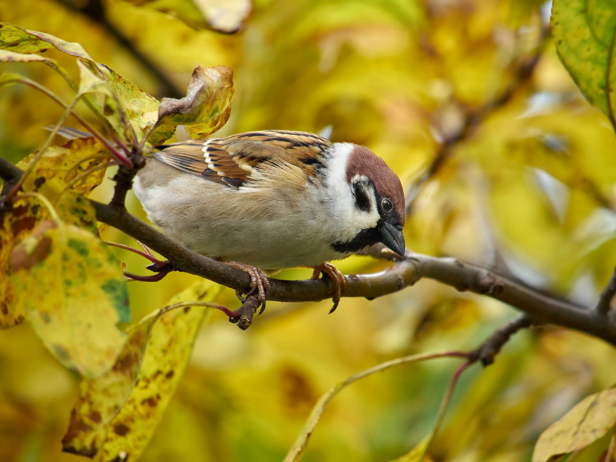 картинка из интернета