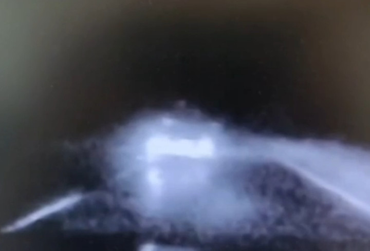 фото: ГУ МВД России по Петербургу и Ленобласти