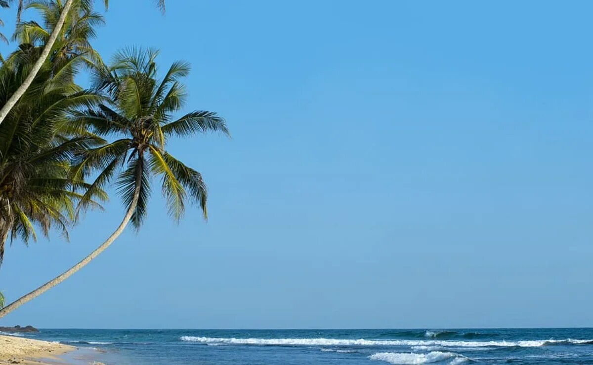    Российский турпоток на Шри-Ланку сократился на 4%