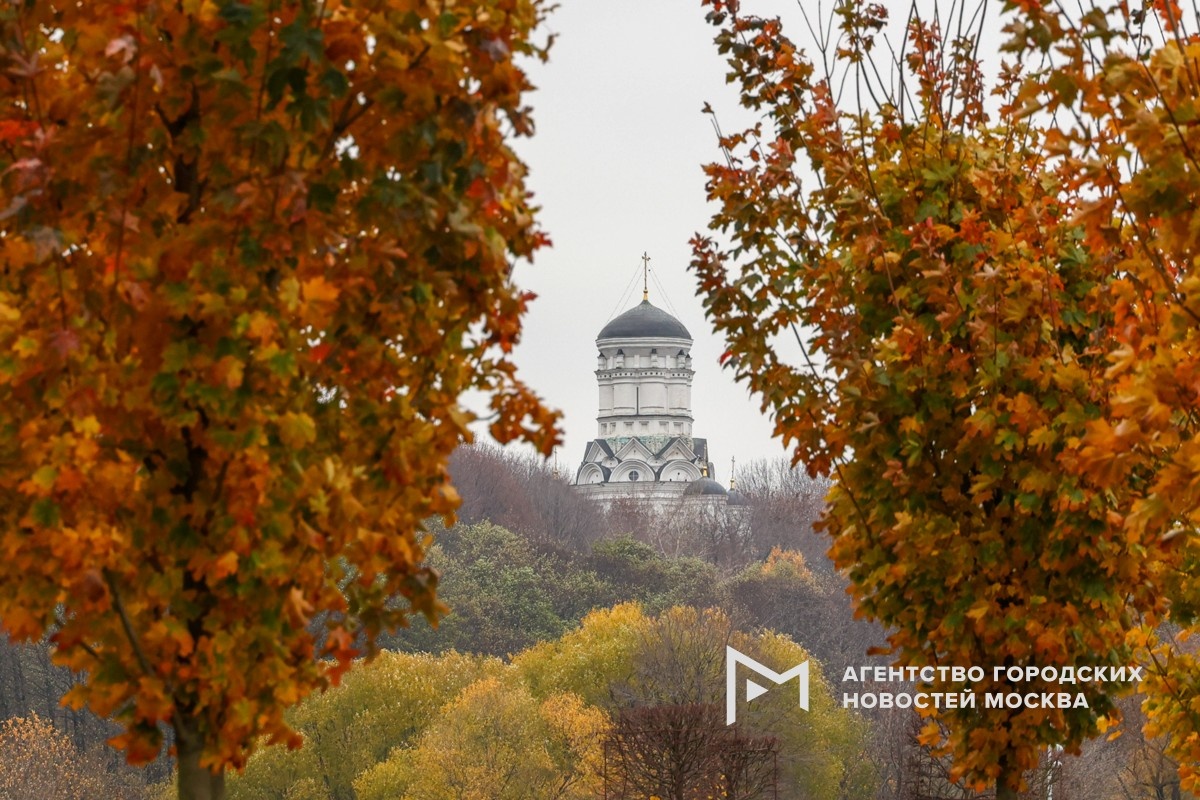 Фотограф: Ярослав Чингаев