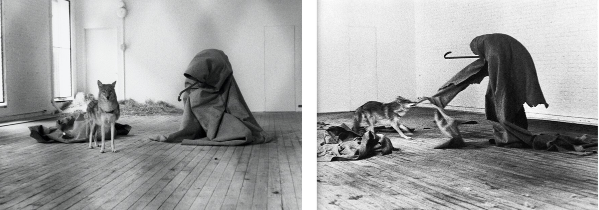 Джозеф Бойс «I Like America and America Likes Me» 1974 г.