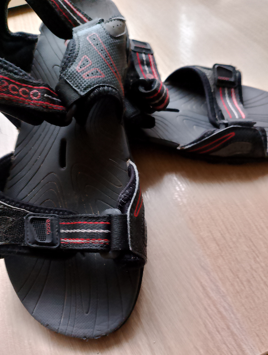 Фото автора.