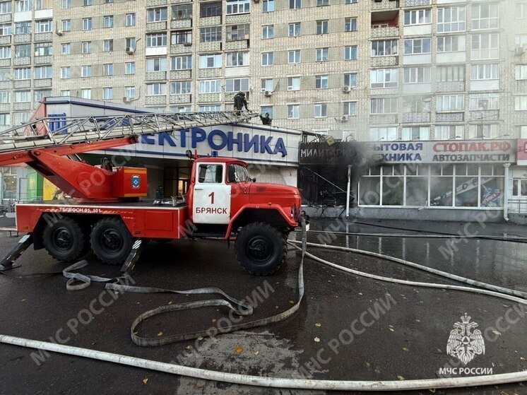     фото: телеграм-канал мчс по брянской области