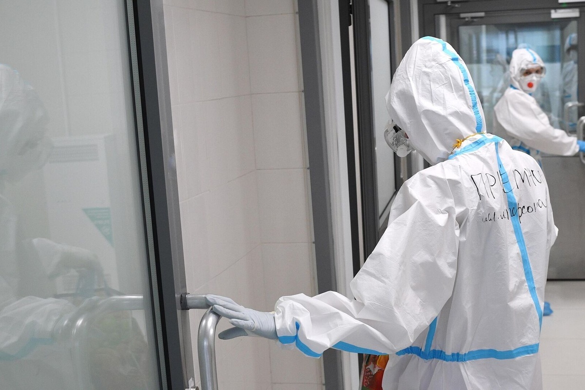    Фото: Алексей Майшев, источник: ria.ru