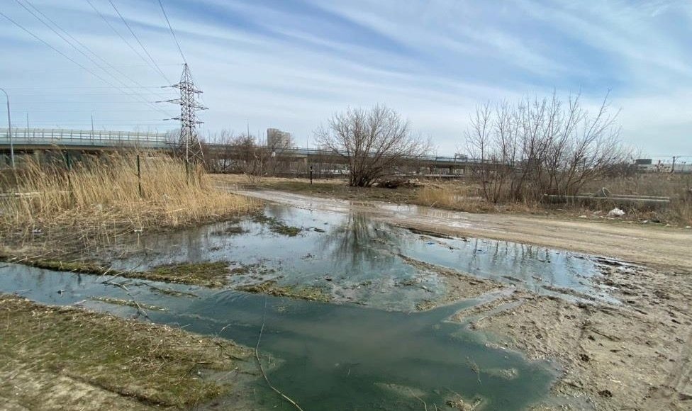    Фото: пресс-служба Росприроднадзора