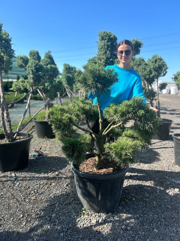 Хозяйка садового центра «Тамбовский сад» Наталья Сушкова. Фото: архив Натальи Сушковой