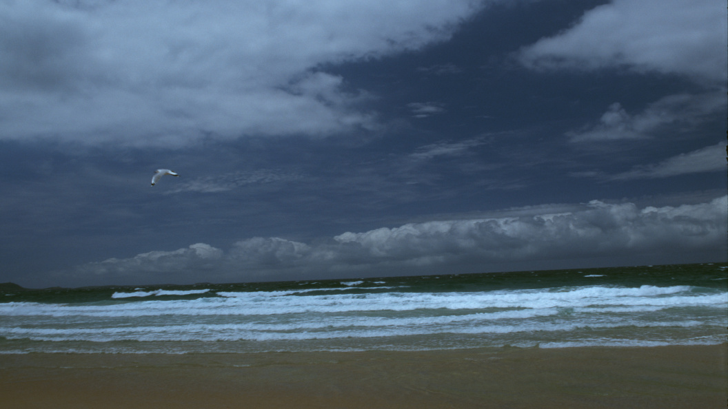    Vadim Nekrasov/Russian Look