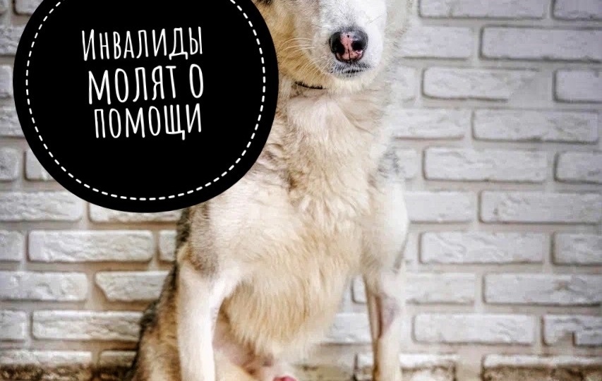 Слезы за дверями ХОСПИСА, их судьбы на грани!