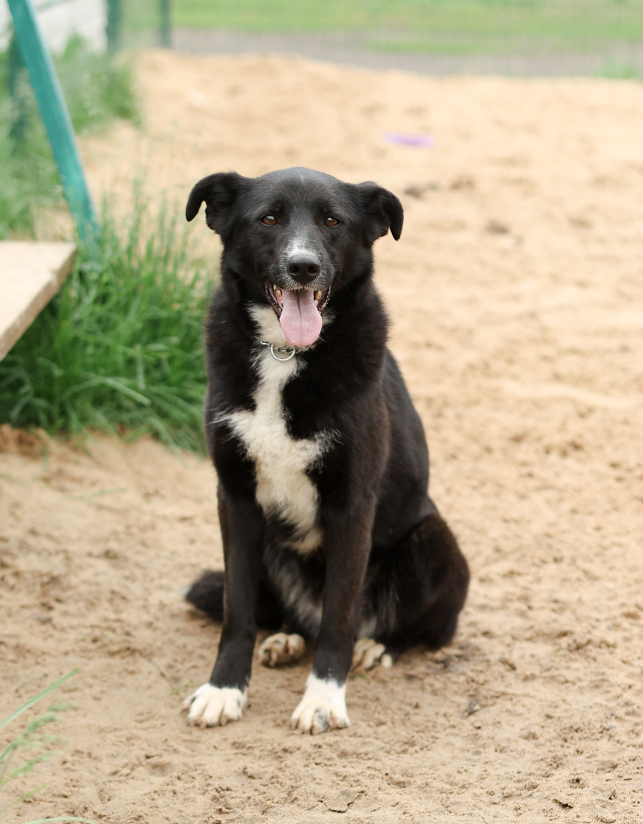 Я правда очень хочу к человеку