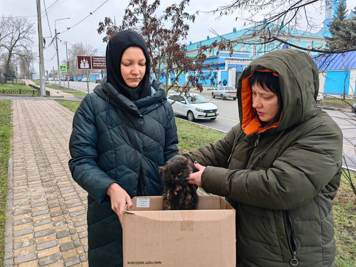 Сейчас именно Саша помогает мне доставать котят из подвалов, ловить одичавших котов в полях и всех их лечить. Фото из архива автора