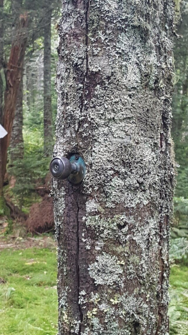 TheNotSoDarkKnight__