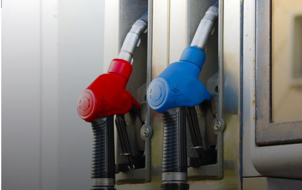    Фото: Пермское УФАС России Полина Анкушина