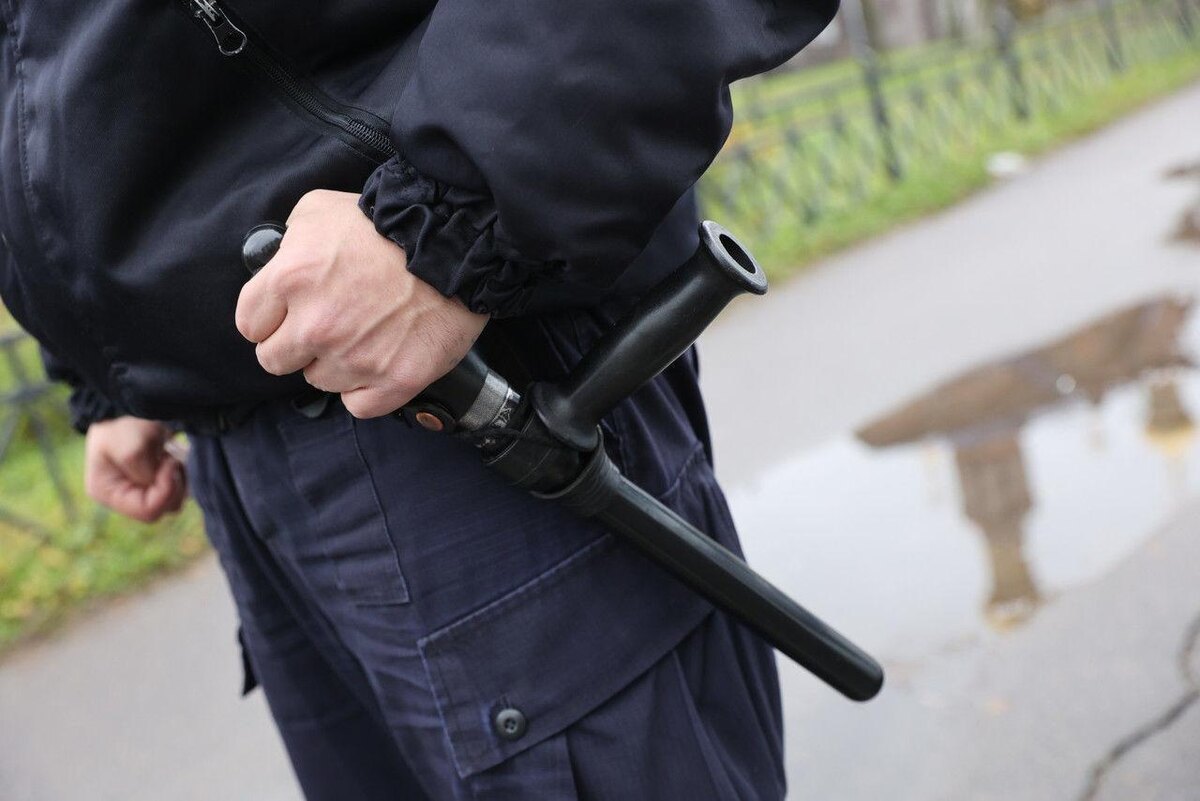 Фото: Дмитрий Фуфаев/«Петербургский дневник»