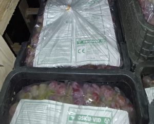 Фото: Уральское межрегиональное управление Россельхознадзора