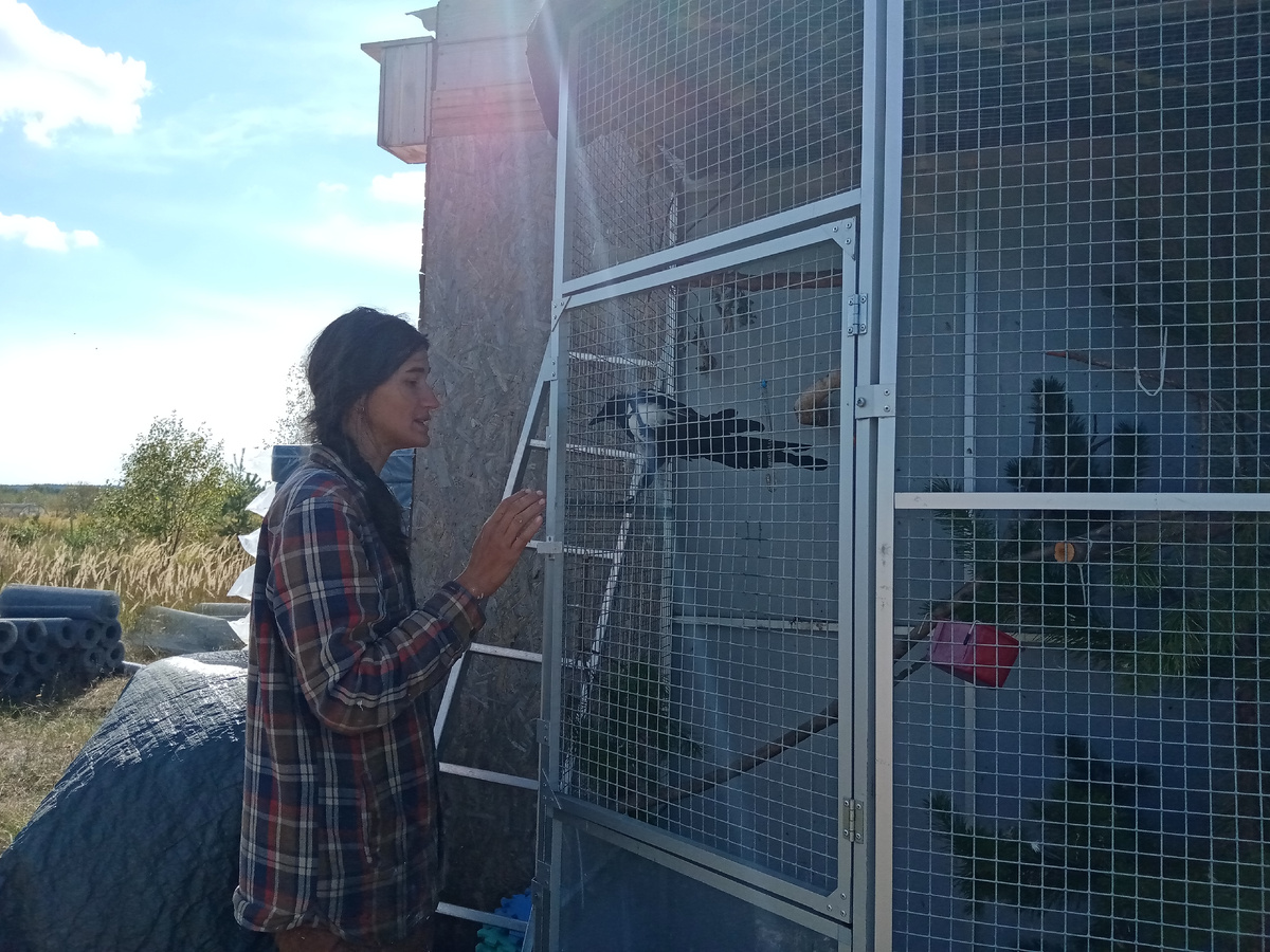 Прекрасная Вера. 