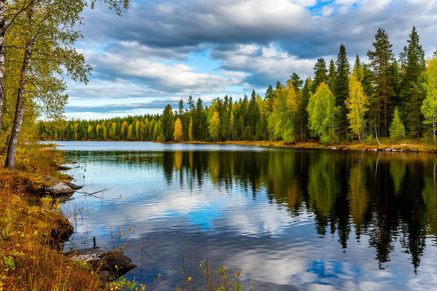    Фото: Шедеврум