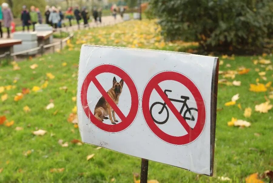Ни лап, ни колес на этой территории быть не должно. Похоже, что скоро на все зеленые зоны города можно будет только смотреть./ФОТО Дмитрия СОКОЛОВА