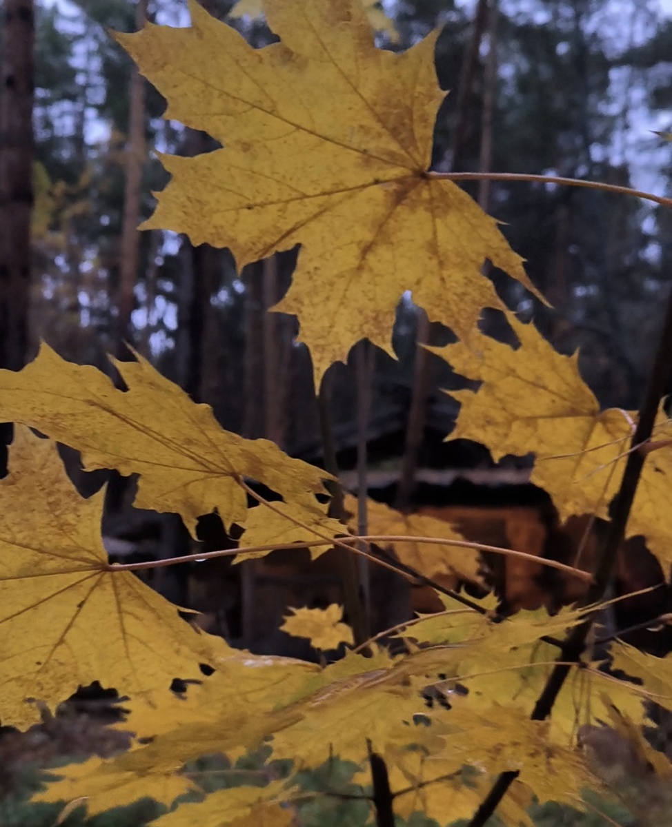 Все фотографии в статье авторские. 