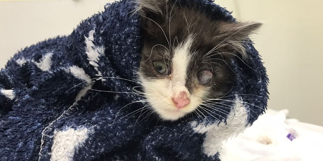 Болезнь отняла у него глаз, но не сможет отнять мечту о семье!