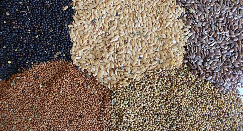 Фото: филиал Федерального центра оценки безопасности и качества продукции агропромышленного комплекса в РТ;