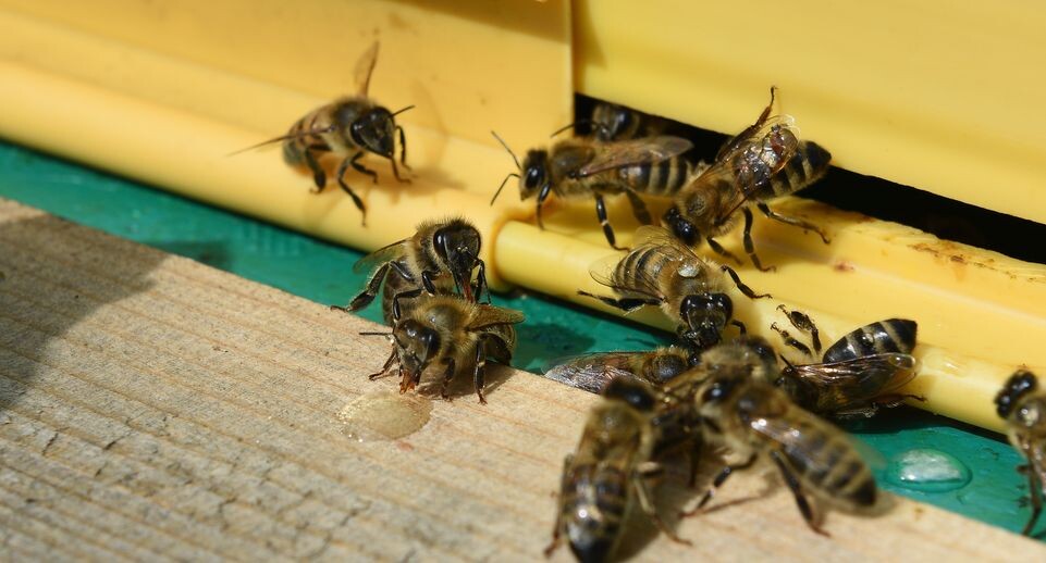    Медиасток.рф