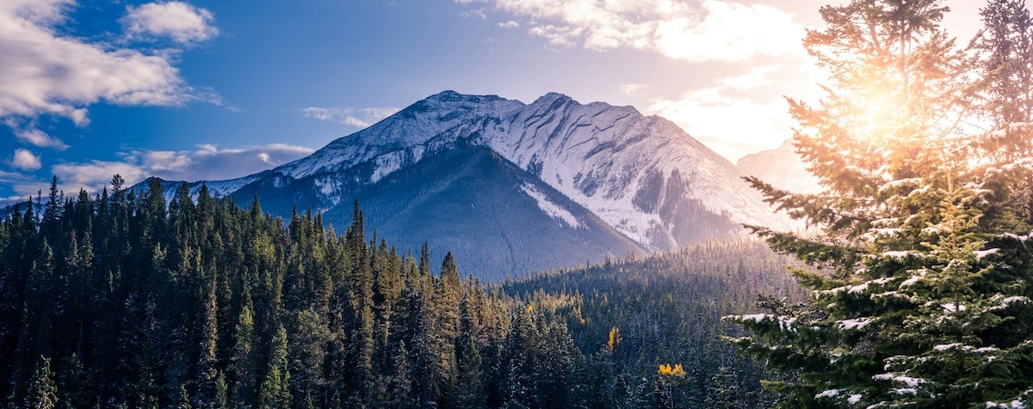 @Neil Rosenstech/Unsplash