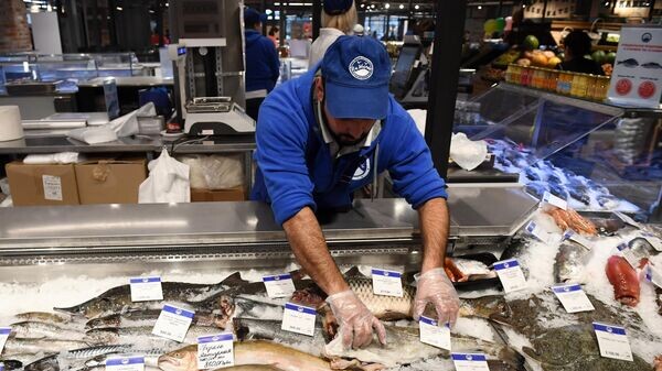    © Sputnik / Илья Питалев