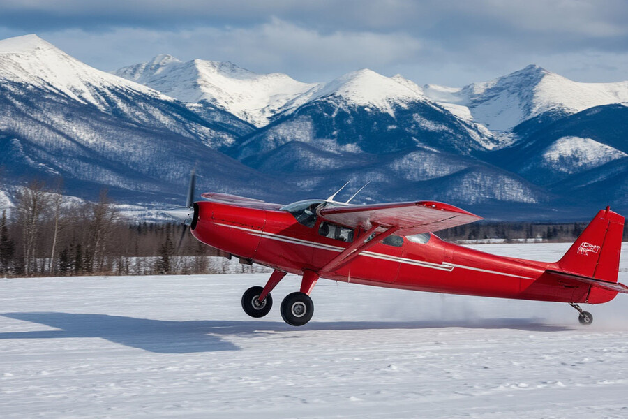    Фото: Шедеврум