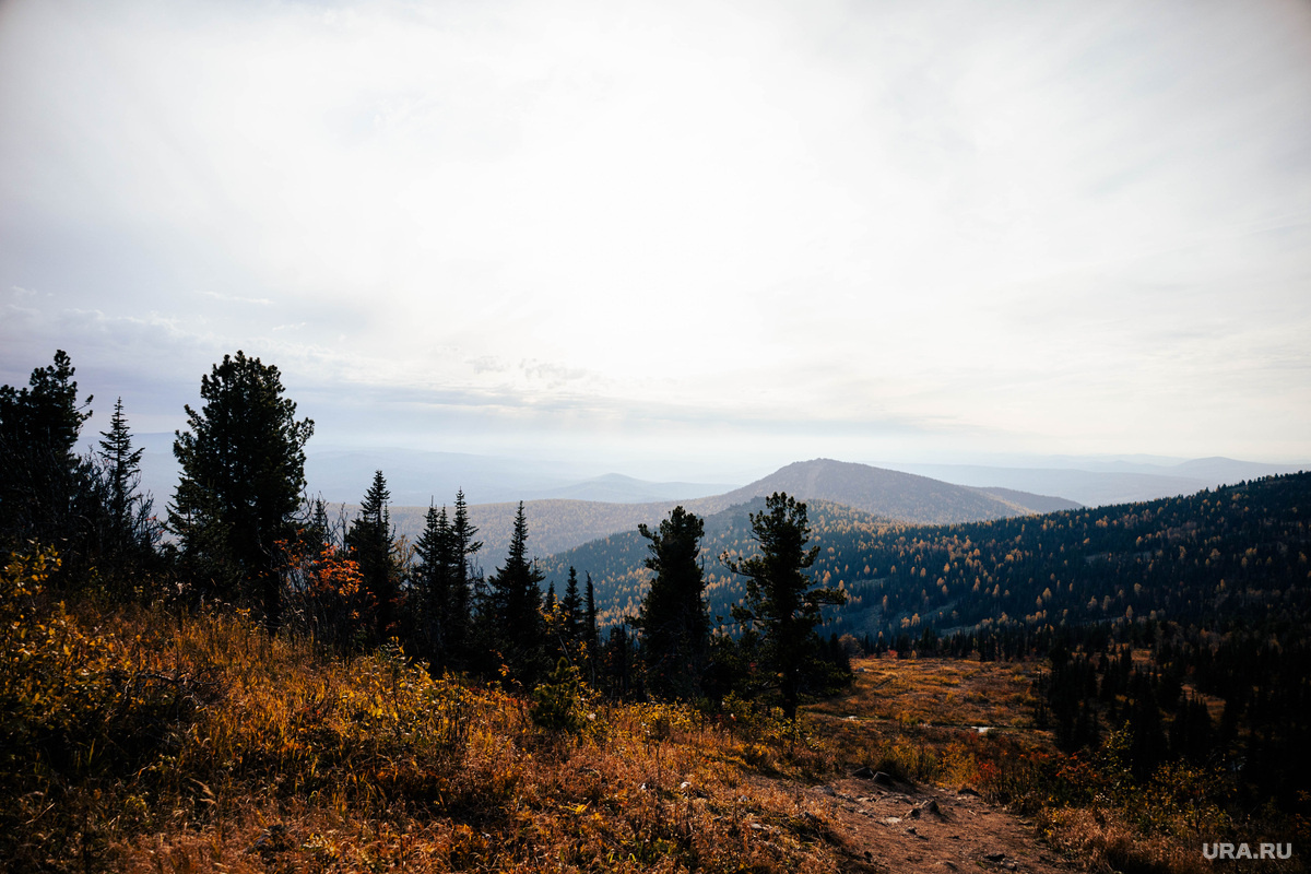 Обычный турпоход по тайге превратился в загадочное исчезновение. Фото: Анастасия Соргина © URA.RU