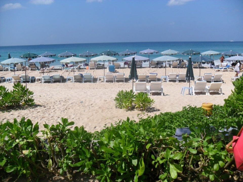    Таиланд. Источник: Олеся Веселкова / "Толк"