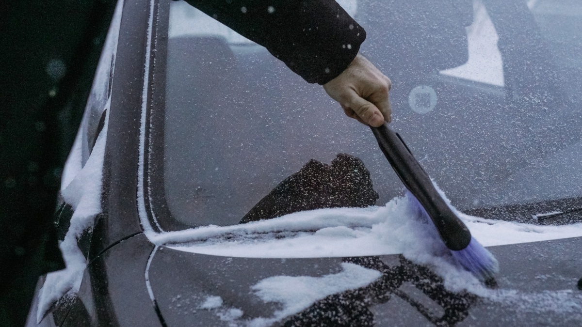 Светлана Мулыкина📷
