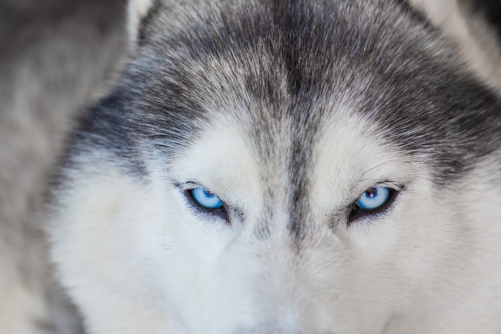    Фото © Freepik / jannoon028