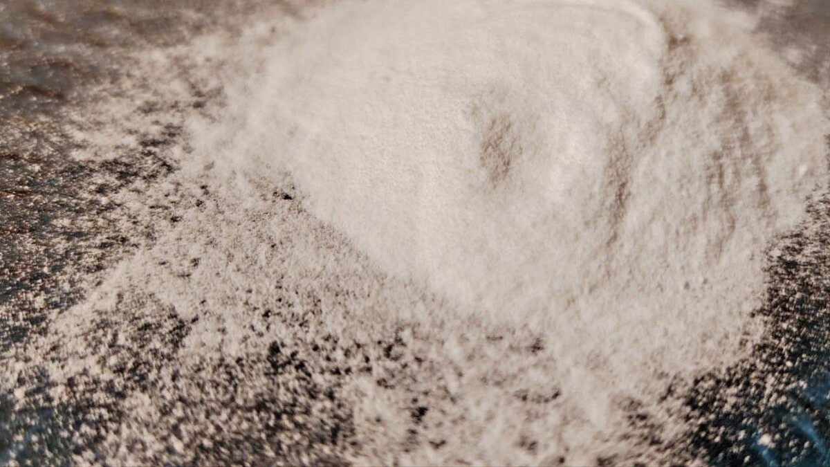    Фото: телеканал «Краснодар»