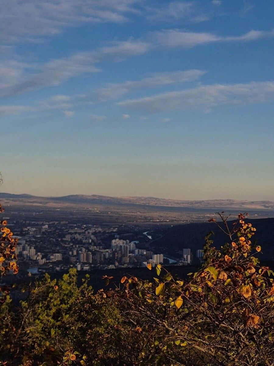     Источник: newsnn.ru