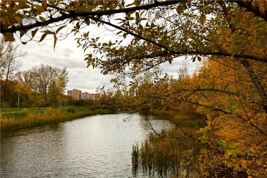 Местные жители попросили привести их в порядок