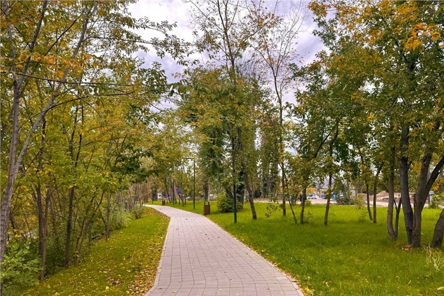 Территорию расчистили от мусора, проложили дорожки с освещением
