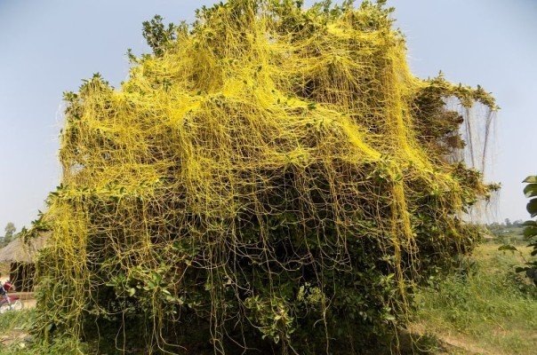 Фото: mavink.com  📷
