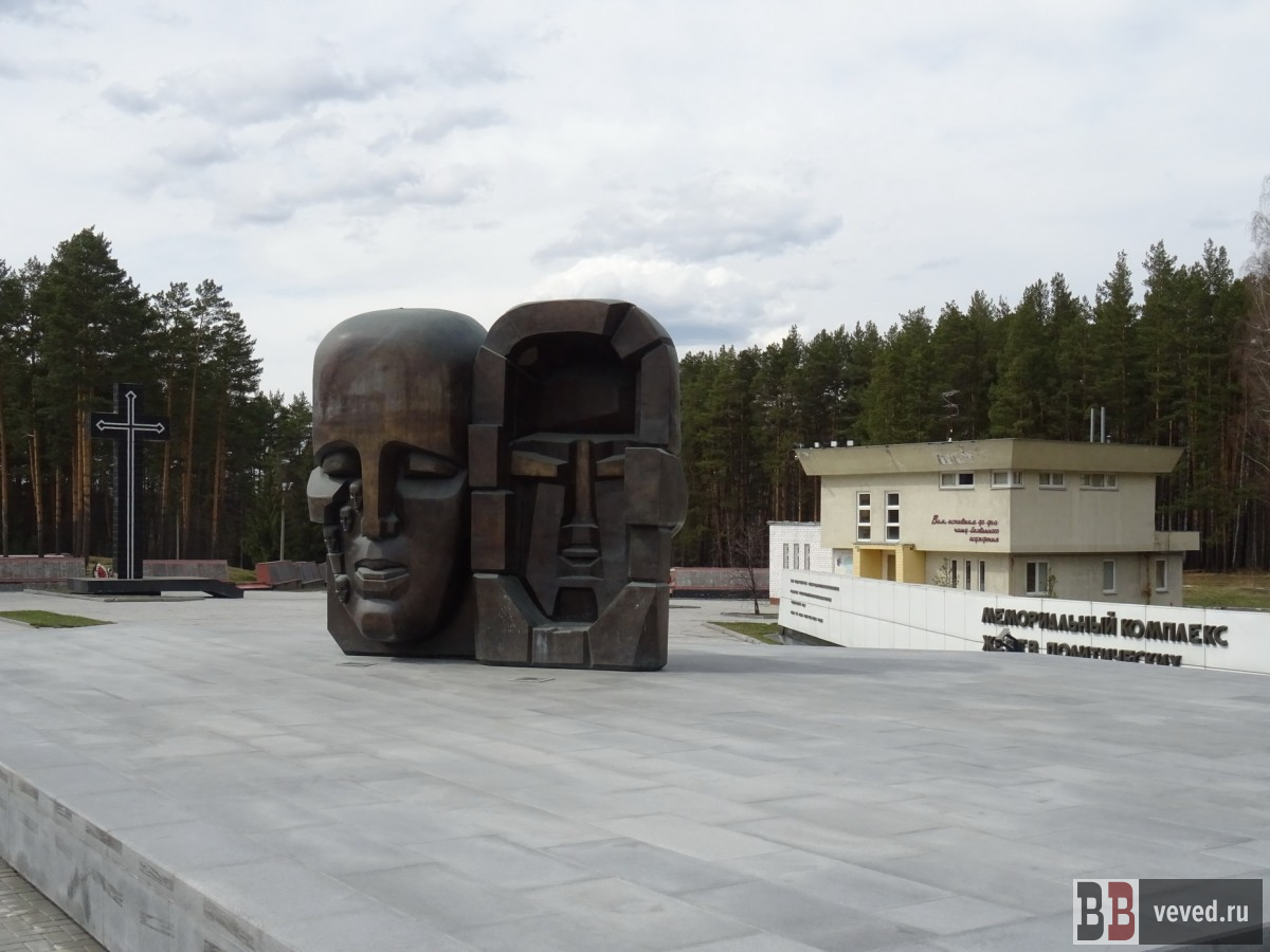     Фото: Владислав Постников / Вечерние ведомости