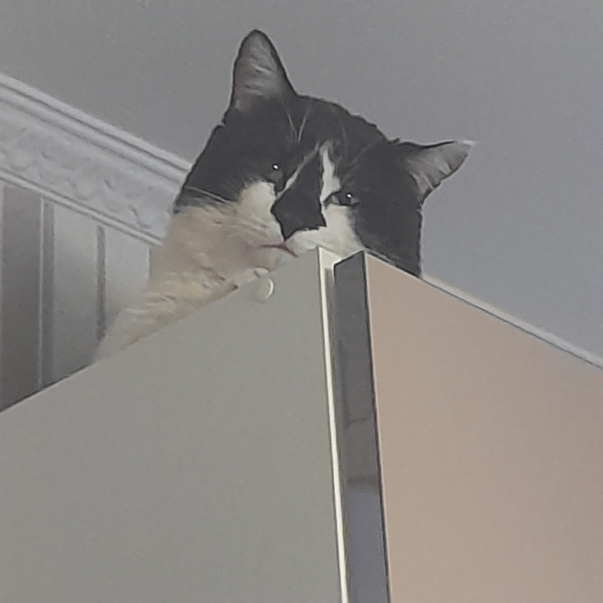 Фото автора.  Первый день дома