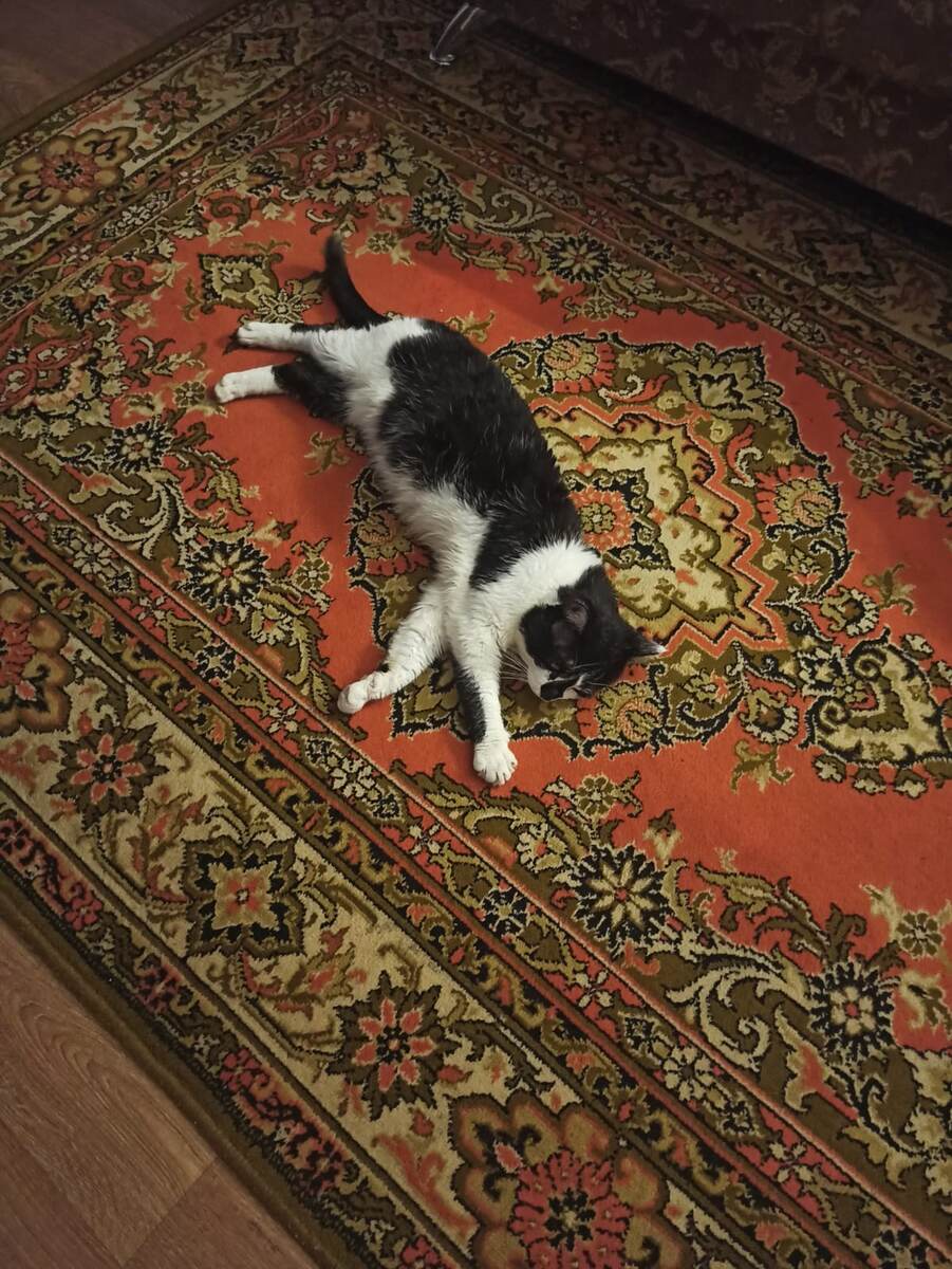 Фото дочери. В новом доме