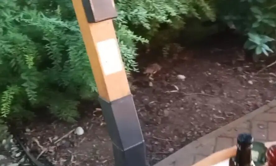    Фото: читатель Мойки78 Александр