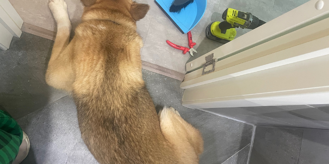 Начиная с субботы в доме царил полный хаос...