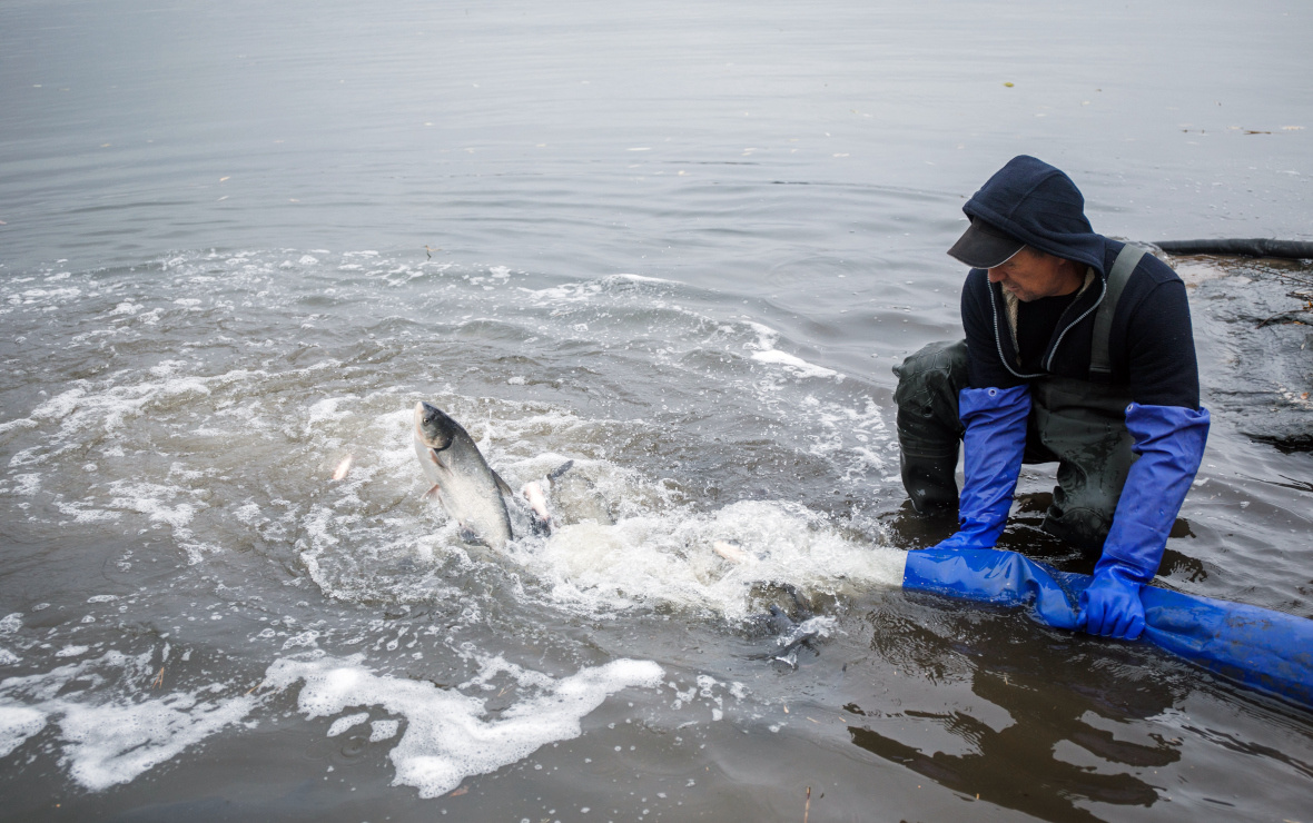 Фото: Ольга Мартынова