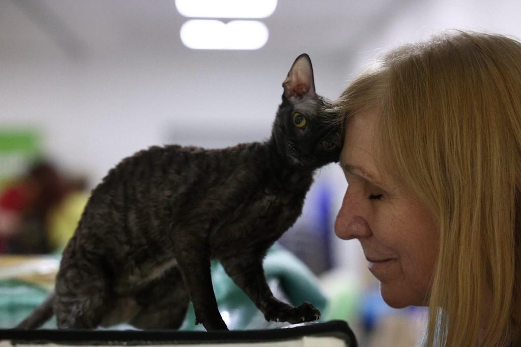    Фото © Анастасия Романова / Абзац